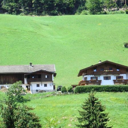 Apartament Zellerhof Finkenberg Zewnętrze zdjęcie